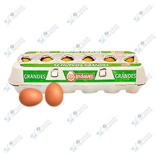 Indaves de Huevo de Gallina Grande x u